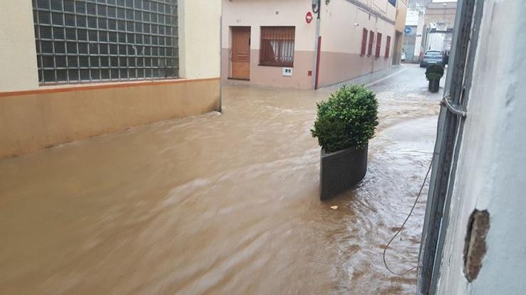 Foto: E.M.T Foto: E.M.T