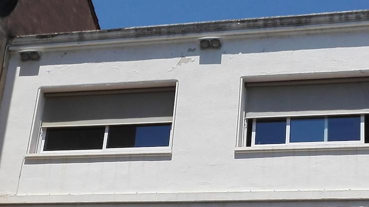 Nius d'oreneta a la façana de l'edifici de l'Ajuntament Nius d'oreneta a la façana de l'edifici de l'Ajuntament