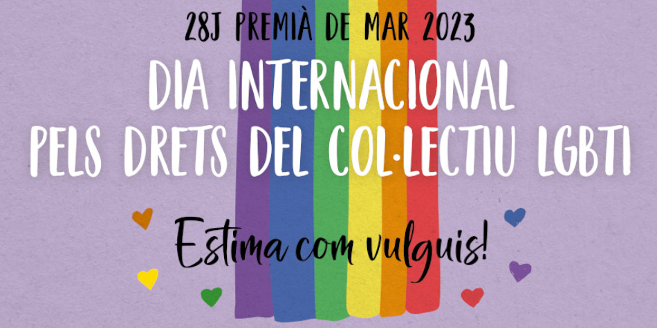 Dia Internacional pels Drets del Collectiu LGTBI