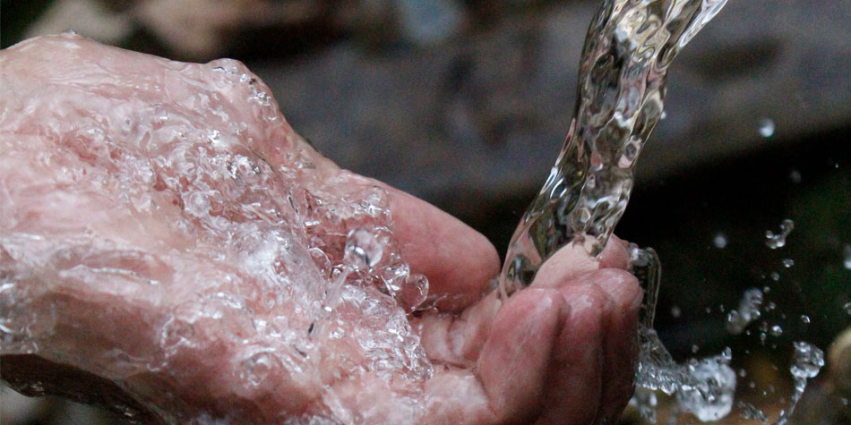 Medi Ambient i Salut Pública Medi Ambient i Salut Pública