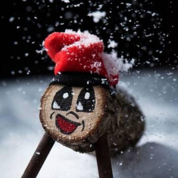 «El viatge màgic de Nadal» «El viatge màgic de Nadal»