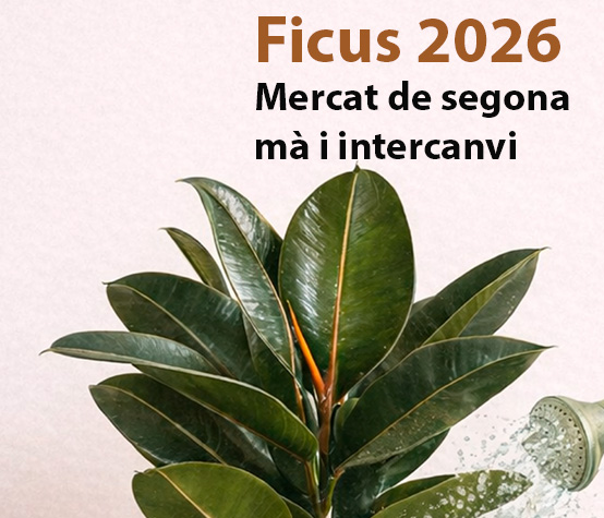 Ficucs 2026. Mercat segona mà Ficucs 2026. Mercat segona mà